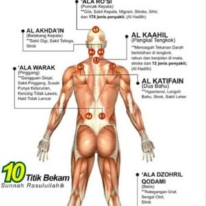 Bekam sunnah 13 cawan