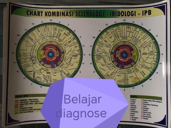 Kursus sinergi rawatan altenatif. - Image 3