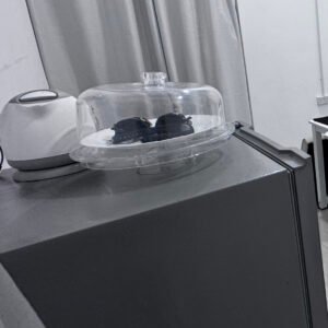 Test Product Publish RBM 4.0